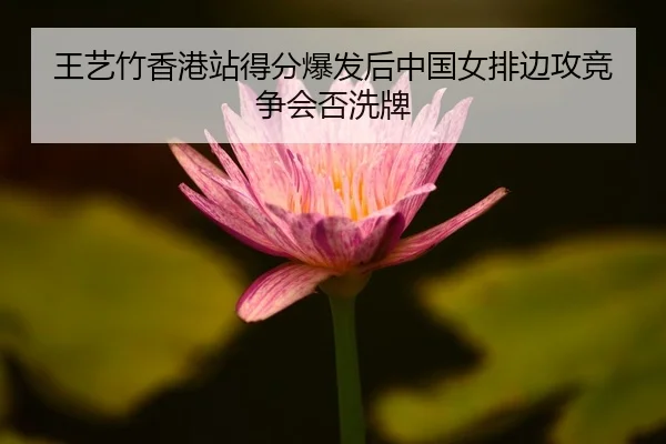 wang-yi-zhu-xiang-gang-zhan-de-fen-bao-fa-hou-zhong-guo-nv-pai-bian-gong-jing-zheng-hui-fou-xi-pai-2-657.jpg